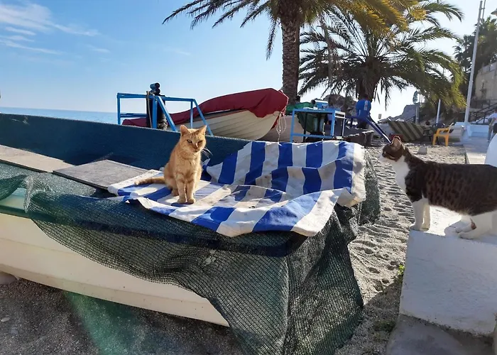 2e Am Playa Burriana 1 Linea, Erste Strandreihe *