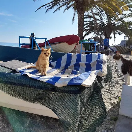 2e Am Playa Burriana 1 Linea, Erste Strandreihe Front Row, Fast Wi-fi, Air Conditioning *